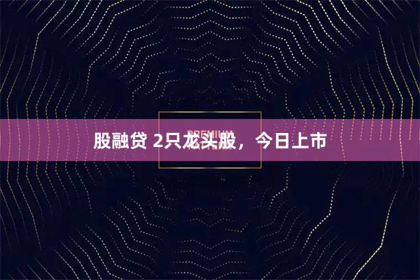 股融贷 2只龙头股，今日上市