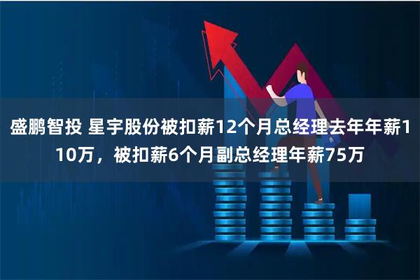盛鹏智投 星宇股份被扣薪12个月总经理去年年薪110万，被扣薪6个月副总经理年薪75万